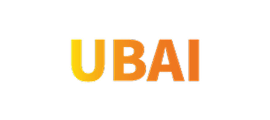 Urban Big Data and AI Institute